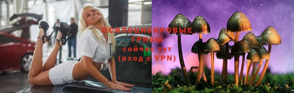 ГАЛЛЮЦИНОГЕННЫЕ ГРИБЫ Абаза