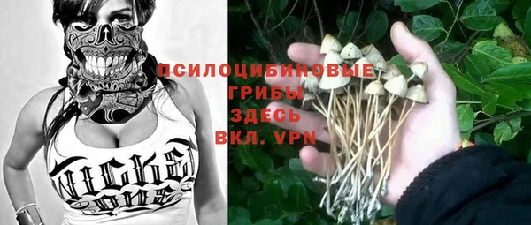ешки Алзамай