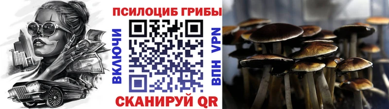 Псилоцибиновые грибы GOLDEN TEACHER  цены   Учалы 